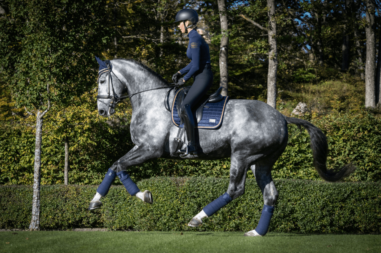 Base Layer Navy Rosegold