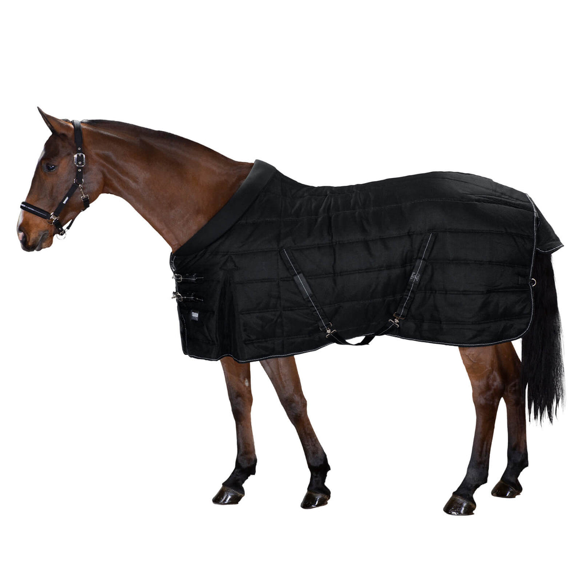 Stalldecke 100g Sigma Stable Basics