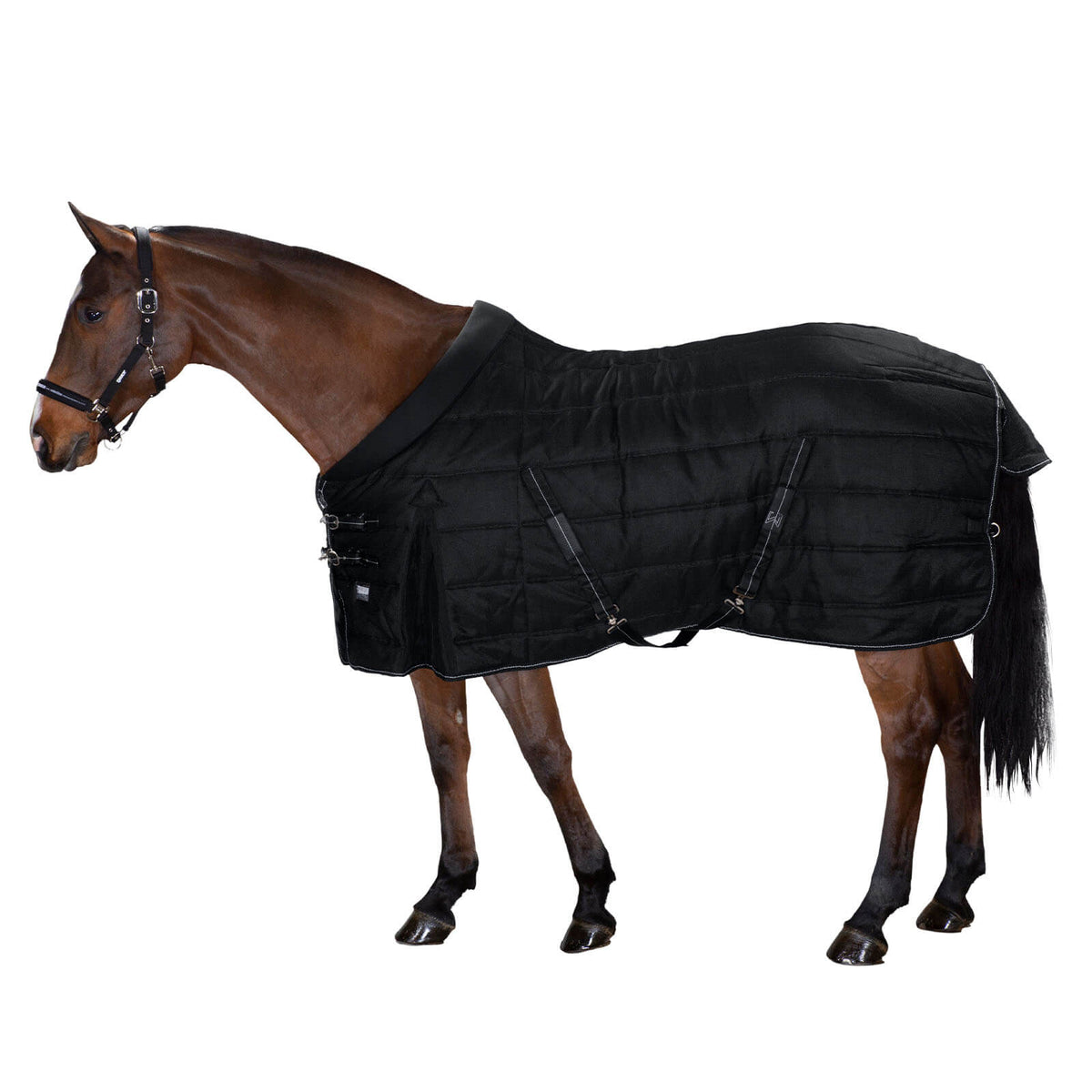 Stalldecke 220g Sigma Stable Basics