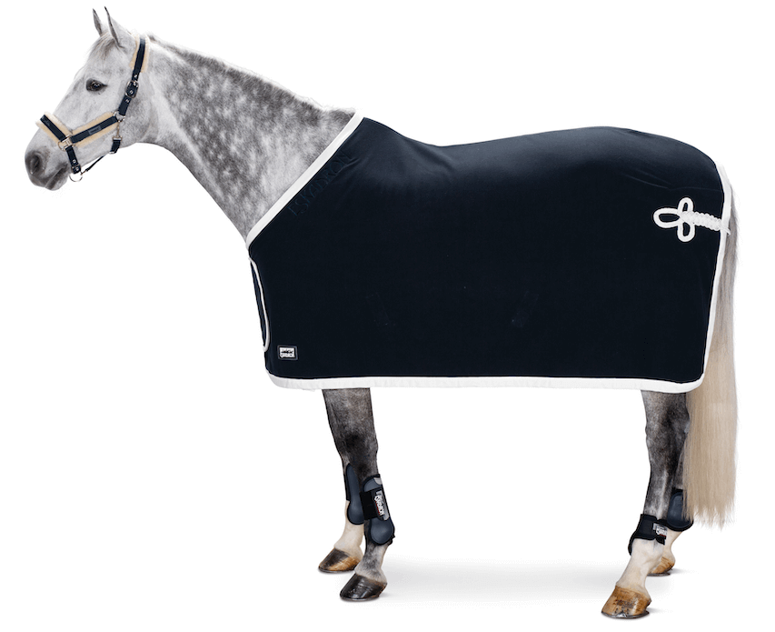 Abschwitzdecke Fleece Show Basics