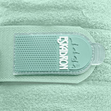 Ice