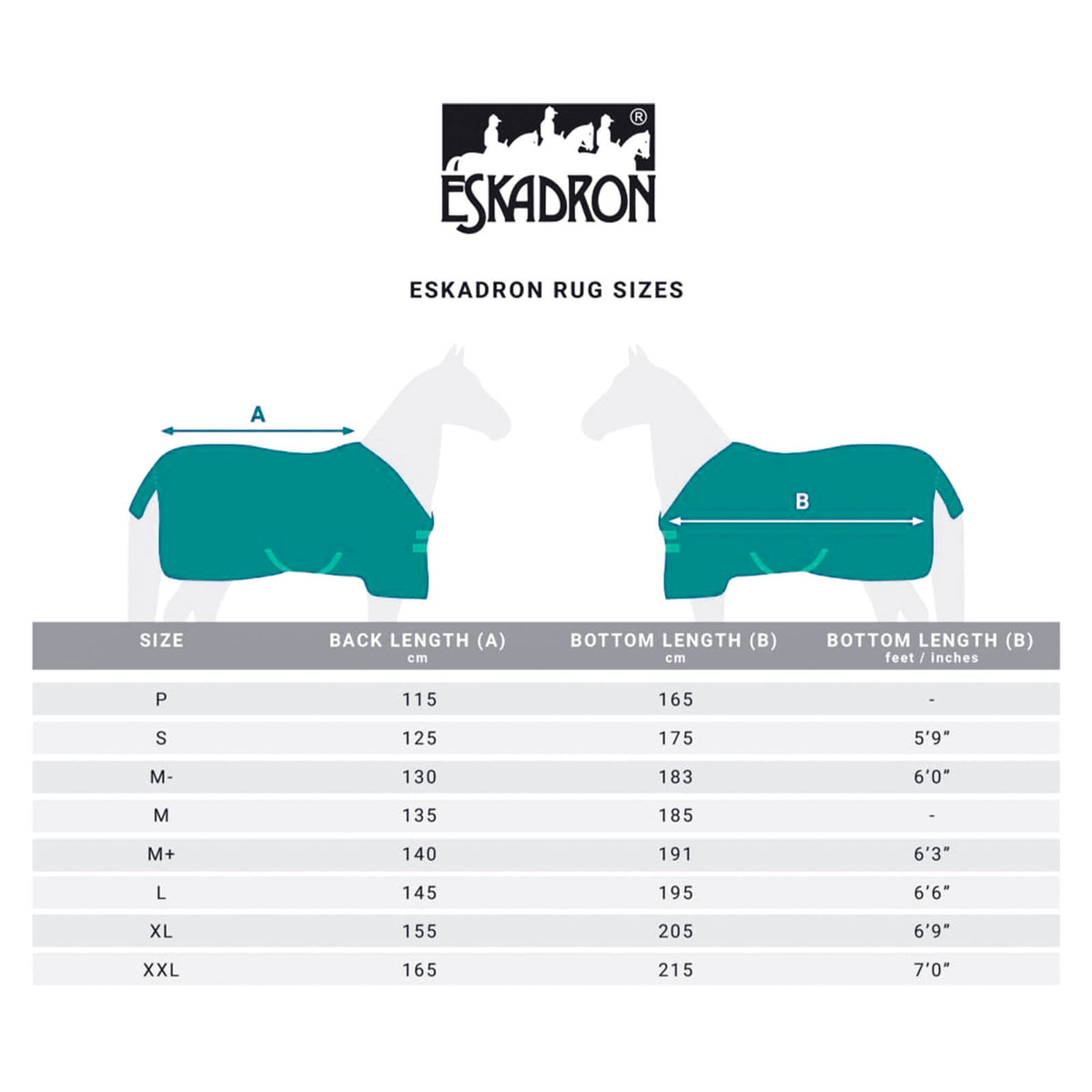 Fliegendecke Pro Cover Dura Basics Fliegenausreitdecke Pferdedecke