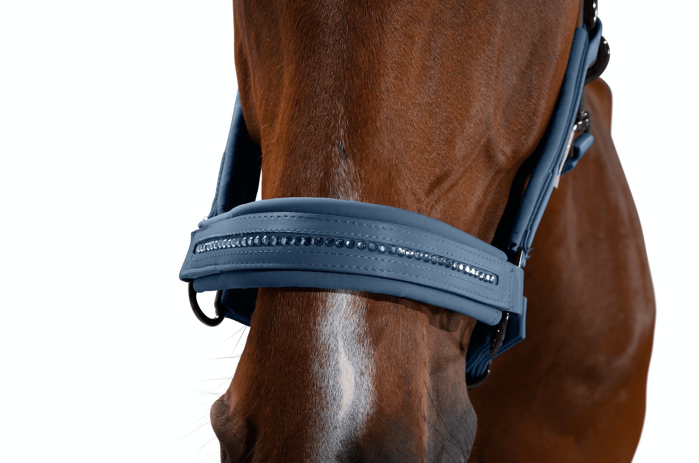 Halfter Doublepin Crystal Platinum 2020
