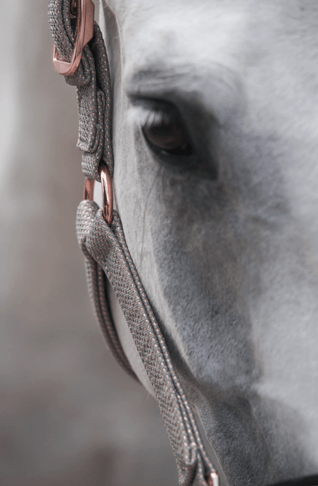 Halfter Glitter Mesh Doublepin Heritage Pferdehalfter