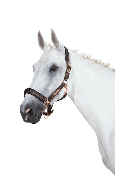 Halfter Glitter Mesh Doublepin Heritage Pferdehalfter