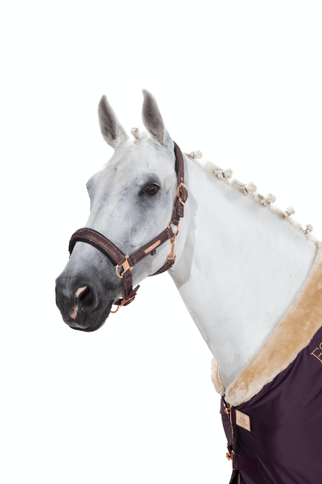 Halfter Glitter Mesh Doublepin Heritage Pferdehalfter