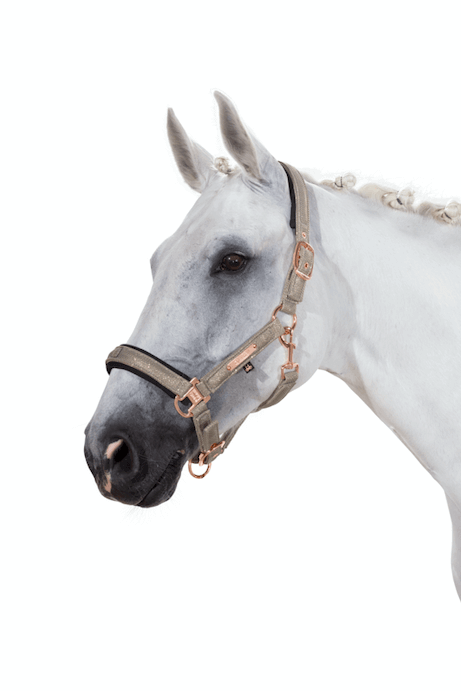 Halfter Glitter Mesh Doublepin Heritage Pferdehalfter