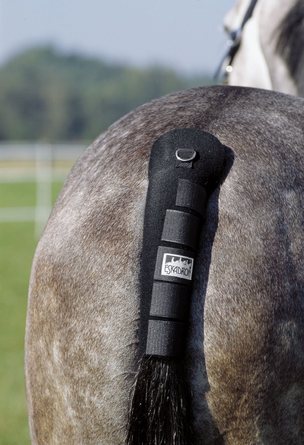 Schweifschoner Neopren