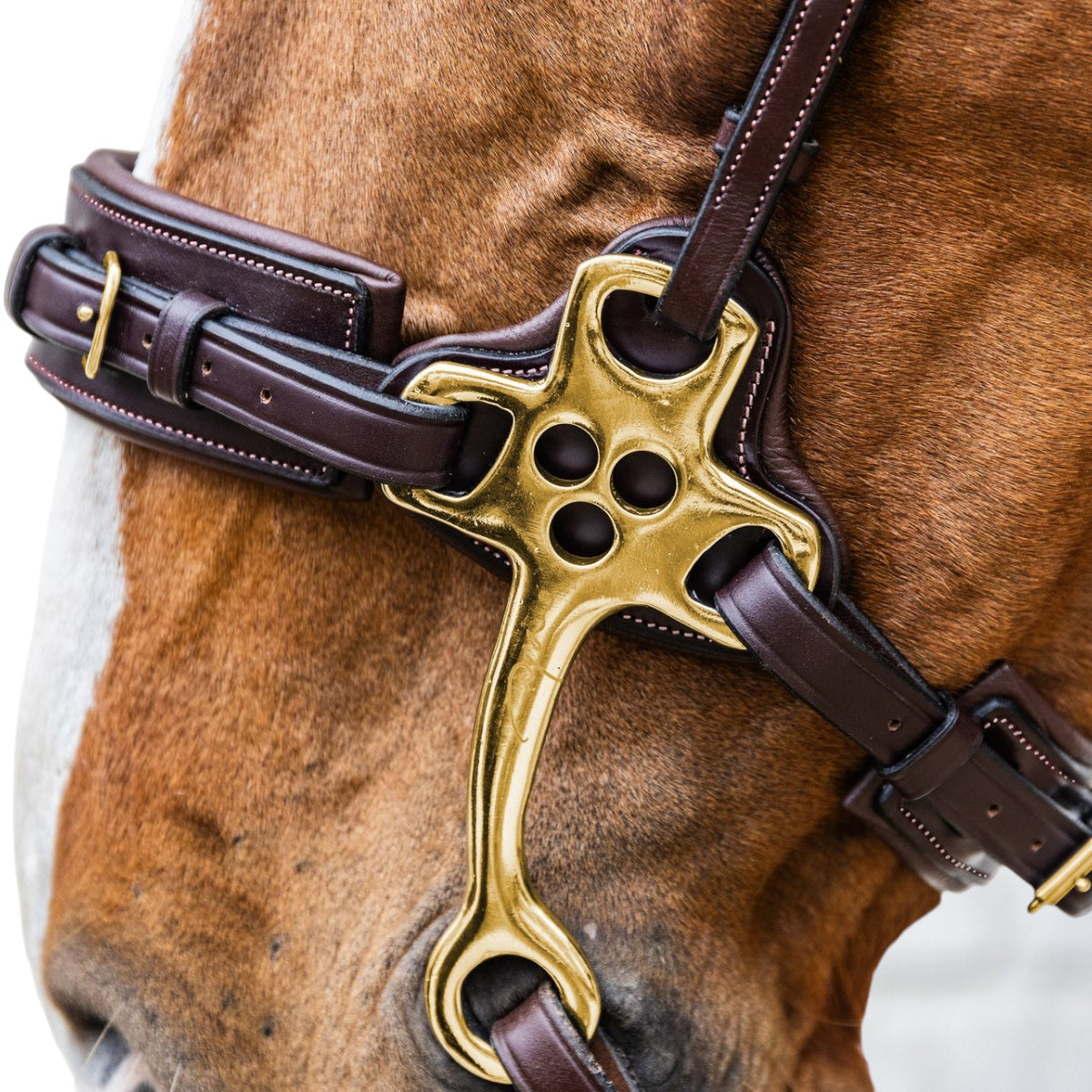 Neusriem Hackamore
