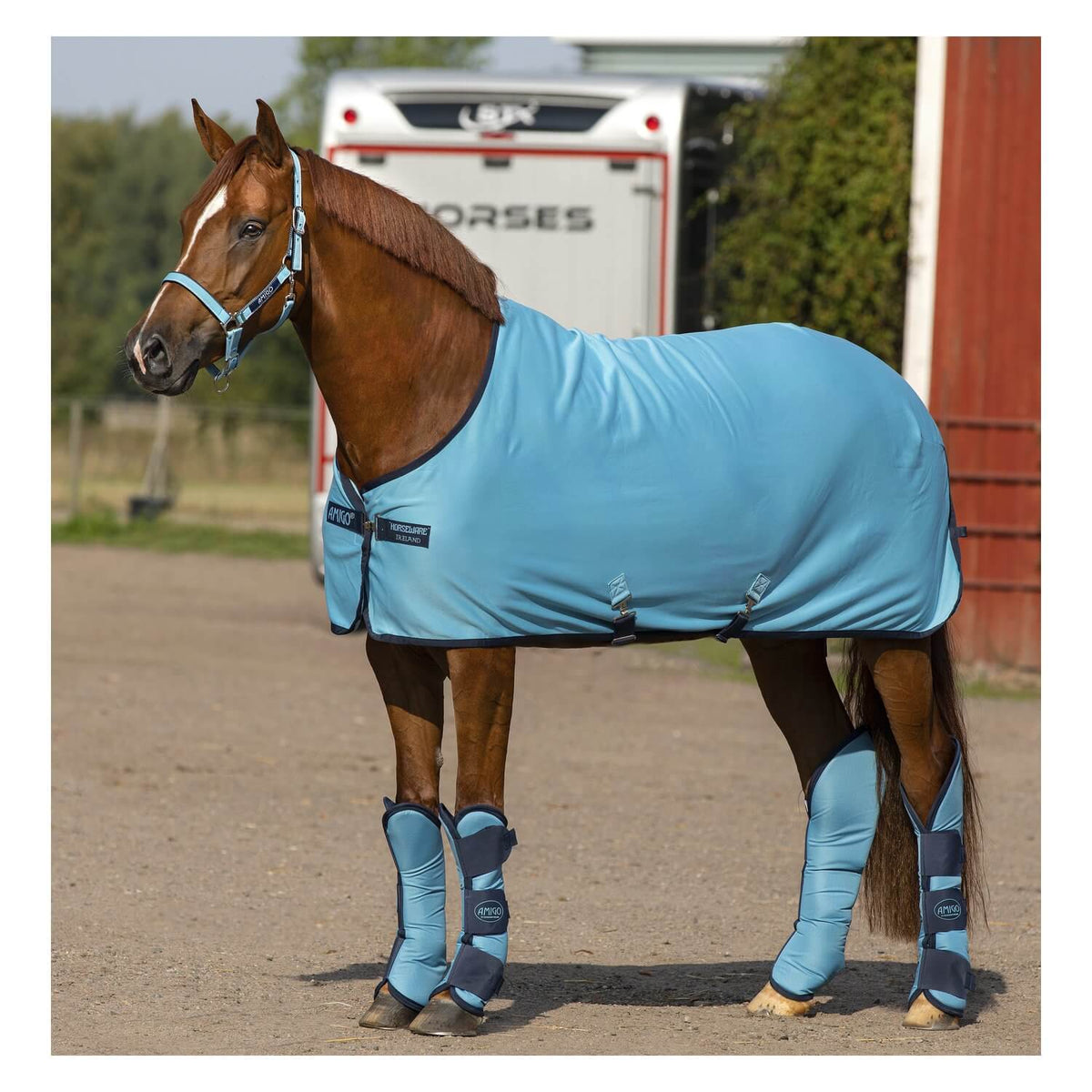 Abschwitzdecke Amigo Jersey Cooler