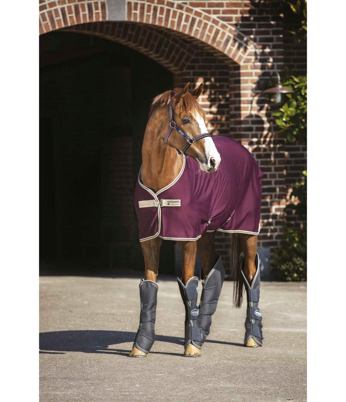 Abschwitzdecke Amigo Jersey Cooler