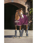 Fig/Navy & Tan