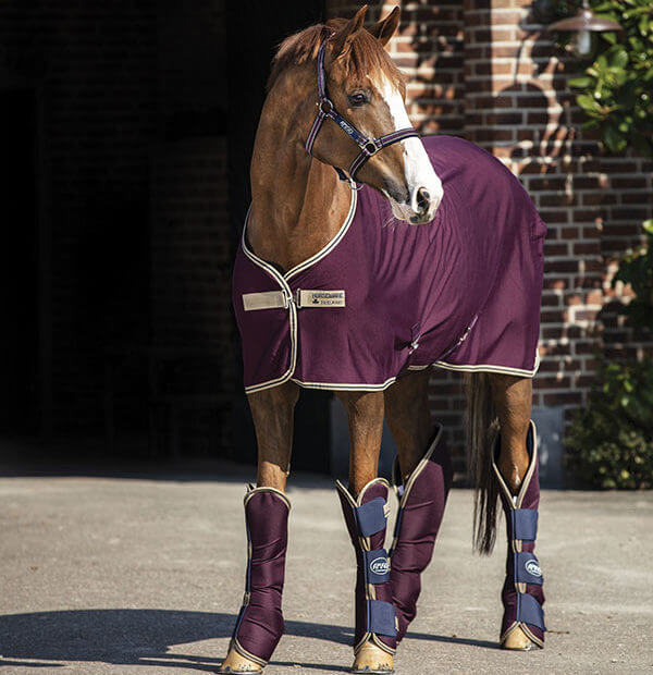 Abschwitzdecke Amigo Jersey Cooler