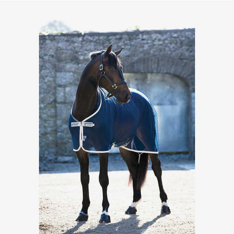 Abschwitzdecke Amigo Net Cooler rem X Sur