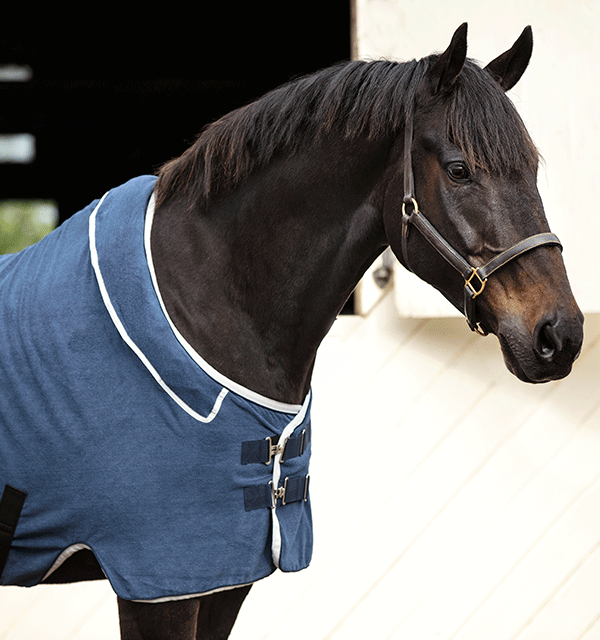 Abschwitzdecke Rambo Dry Rug