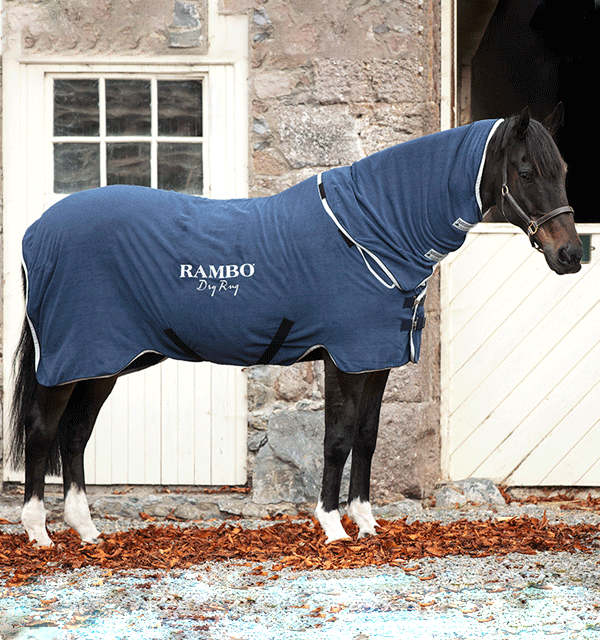 Abschwitzdecke Rambo Dry Rug