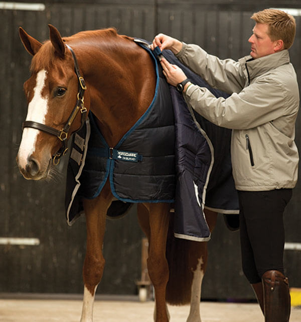 Horseware Ireland Unterdecke 200g Liner, Dunkelblau, Mann legt die Unterdecke am Pferd an.