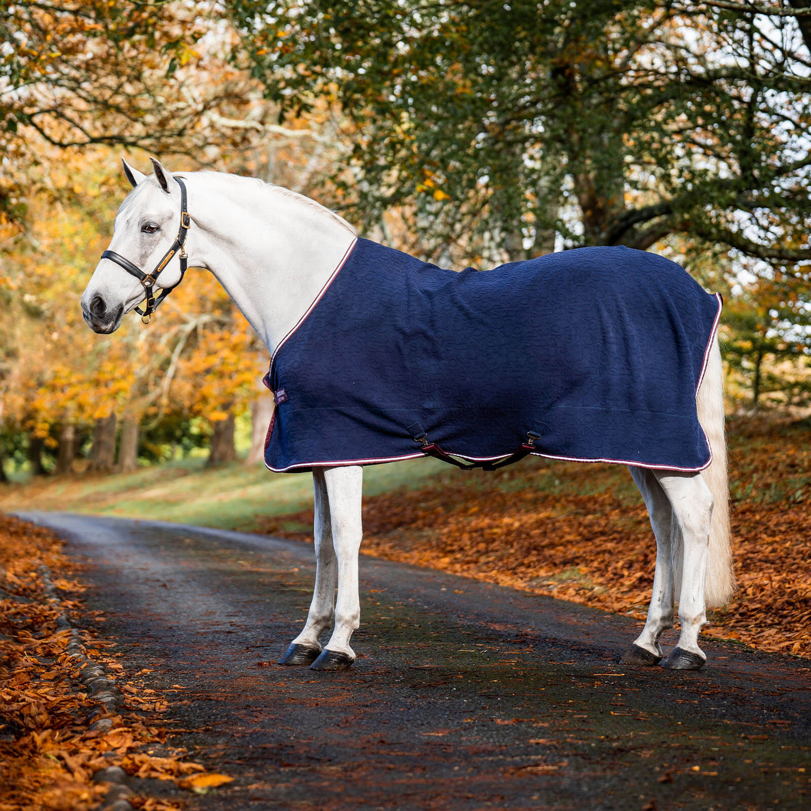 Abschwitzdecke Embossed Jersey Cooler Fleecedecke