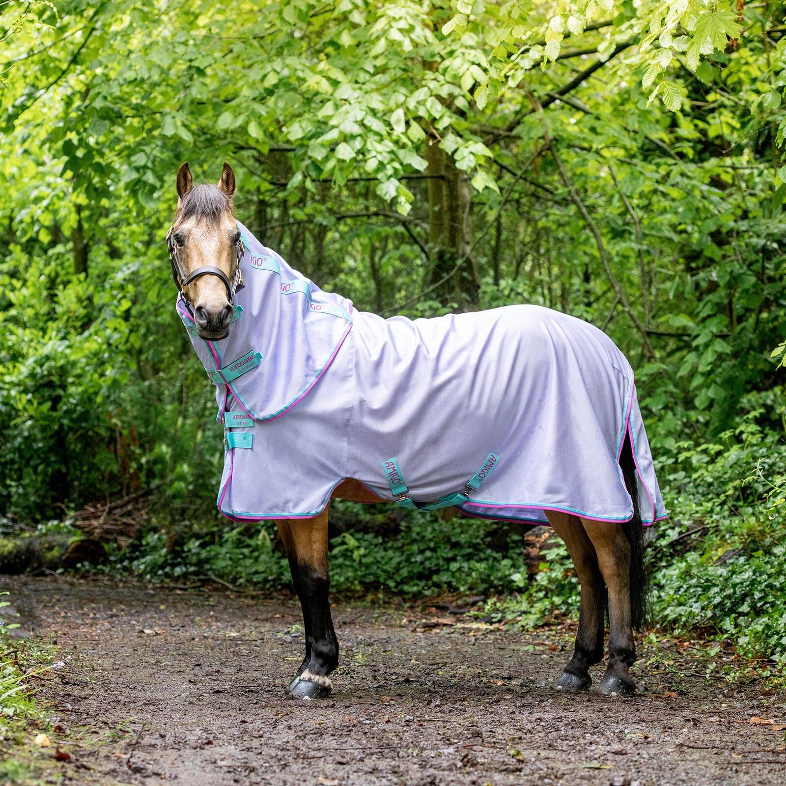 Fliegendecke Amigo Bug Rug Pony