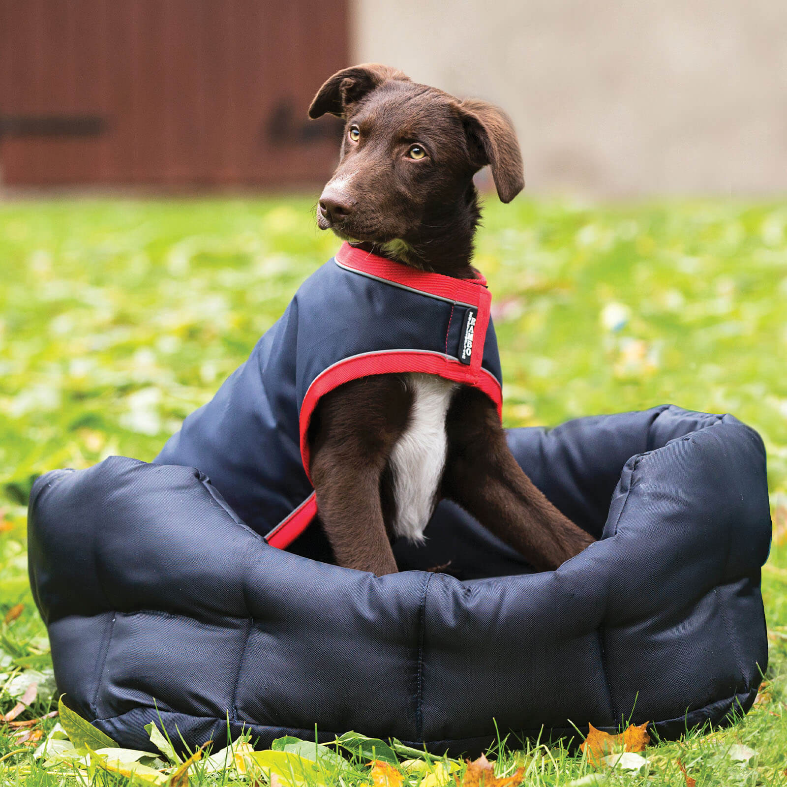 Hundemantel Rambo Waterproof Dog Rug 100g Hundedecke
