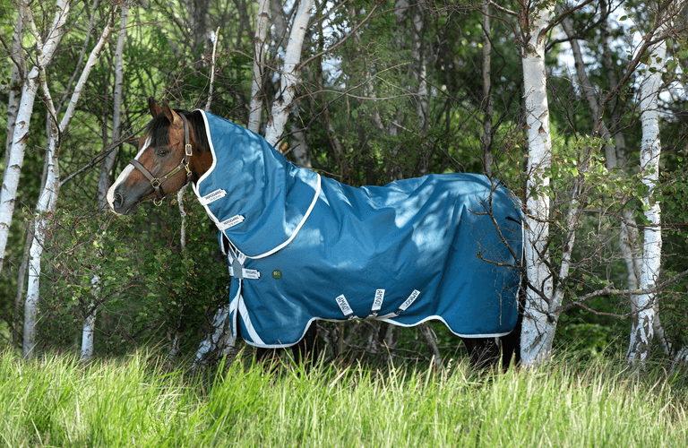 Outdoordecke 100g Amigo AmEco Bravo 12 Plus Turnout
