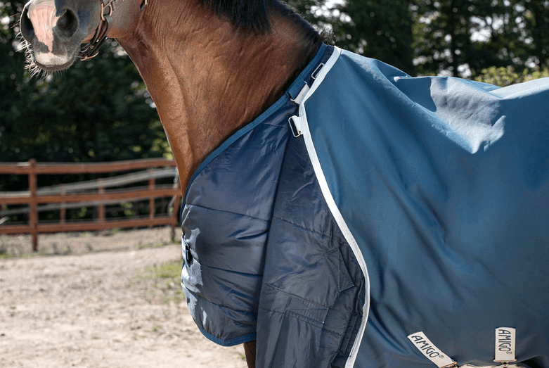 Outdoordecke 100g Amigo AmEco Bravo 12 Plus Turnout