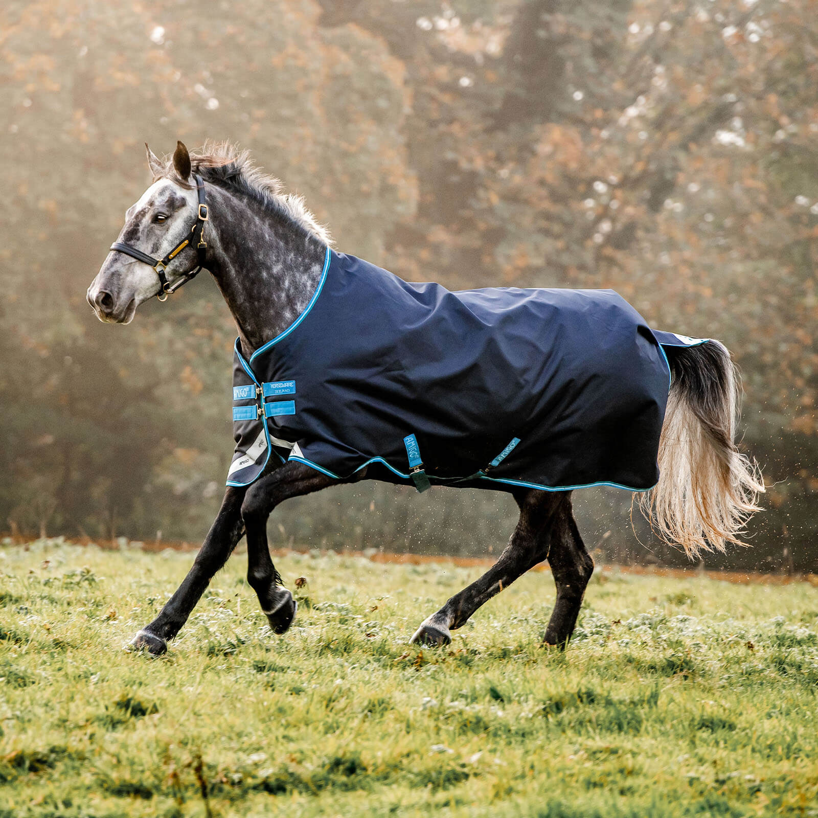 Outdoordecke 50g Amigo Bravo 12 Turn Out Weidedecke