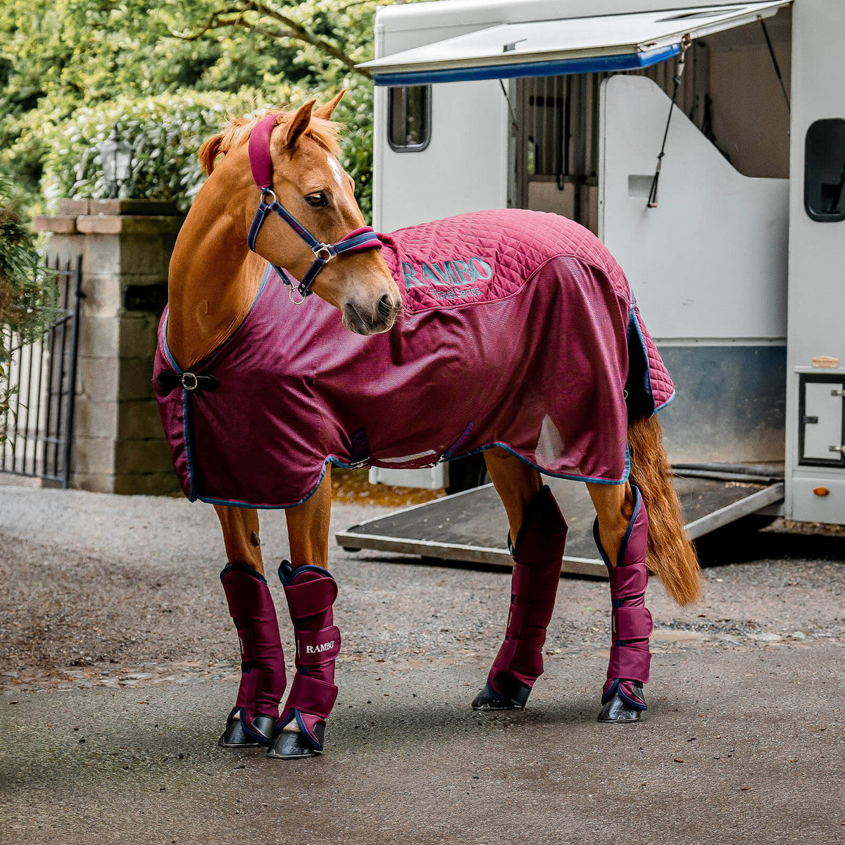 Transportdecke 0g Rambo Travel Series Abschwitzdecke