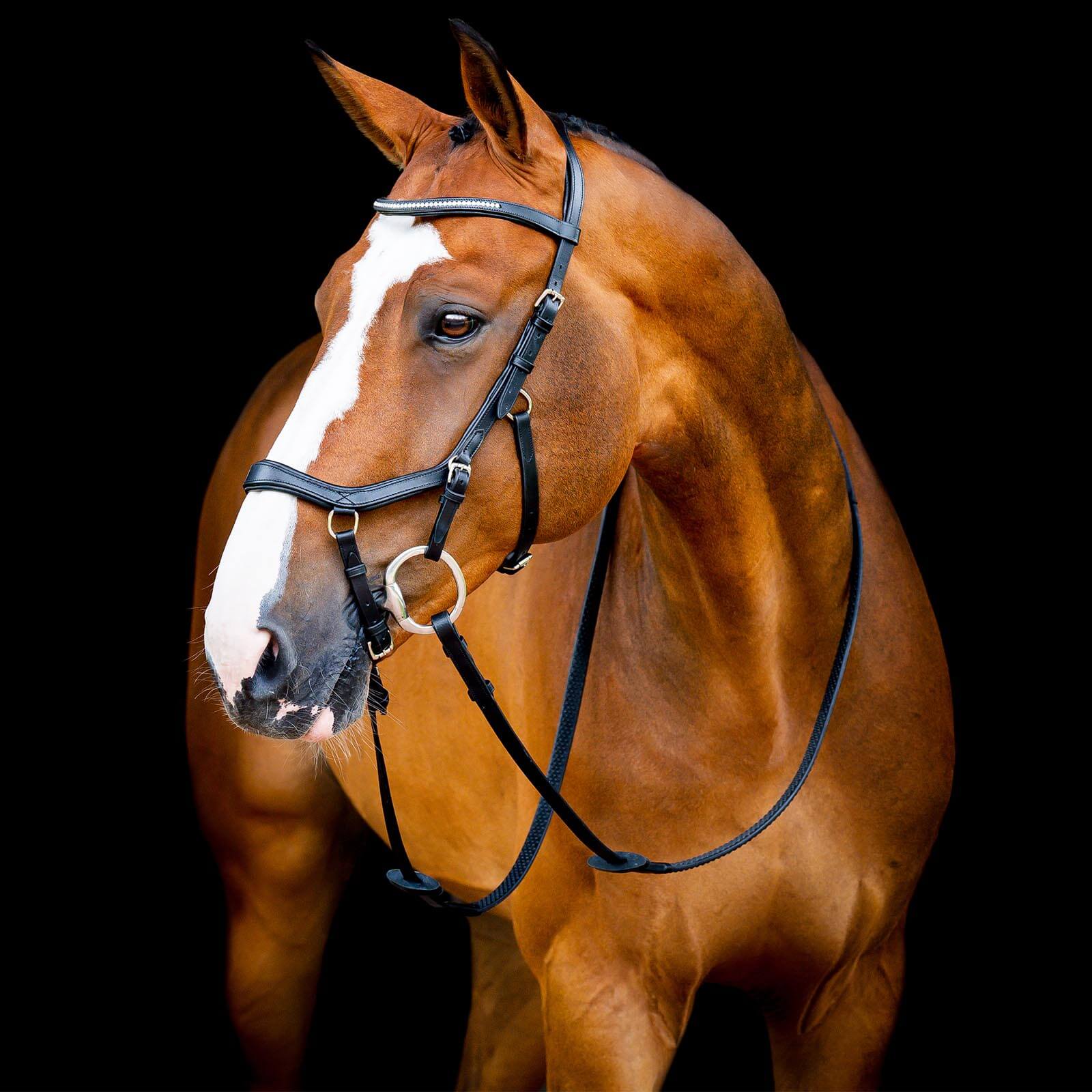 Trense Micklem 2 Diamante Competition Bridle Micklemtrense