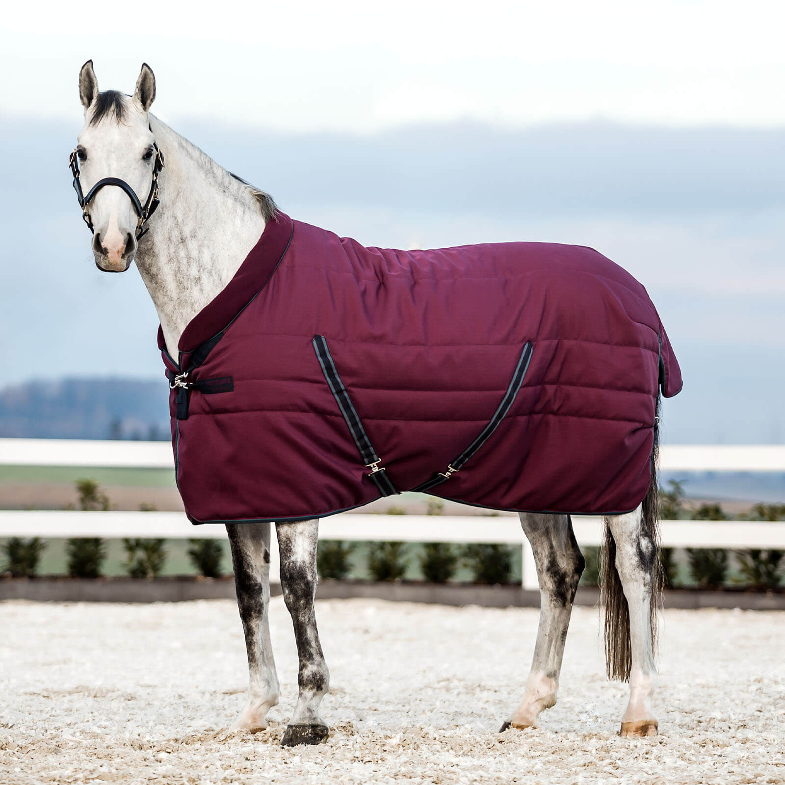 Stalldecke 200g Rambo Cosy Stable
