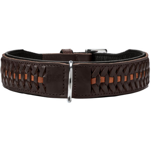 Halsband Solid Education Exclusive Hundehalsband