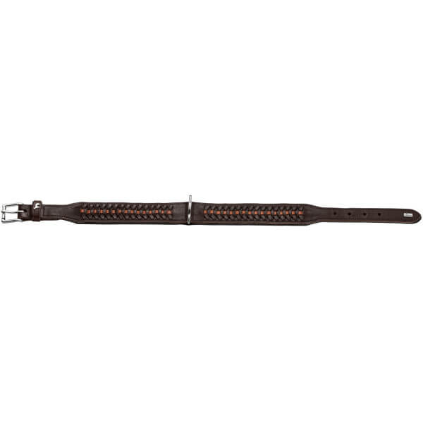 Halsband Solid Education Exclusive Hundehalsband