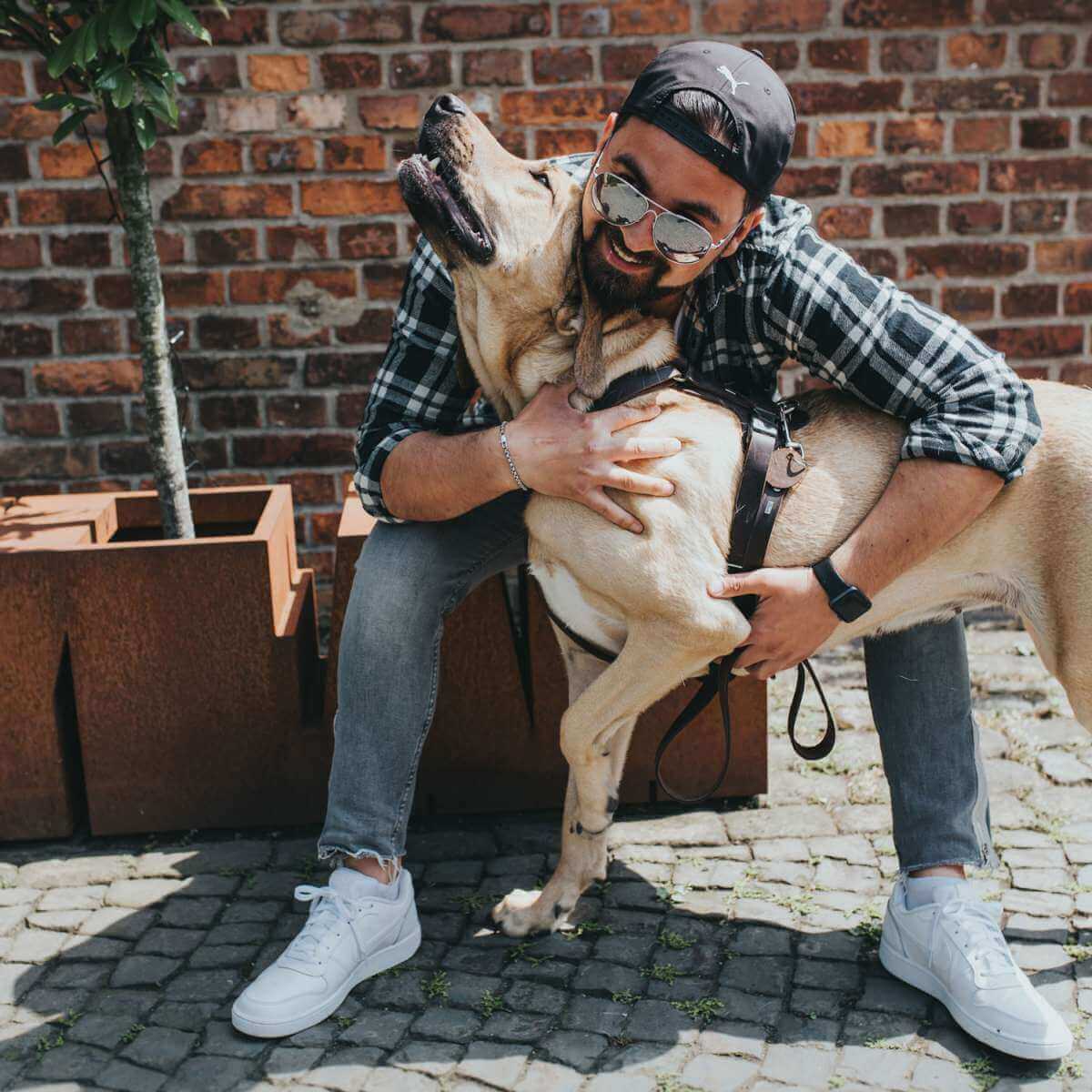 Hundegeschirr Aalborg