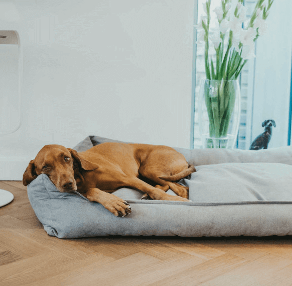Hundesofa Eiby Hundebett
