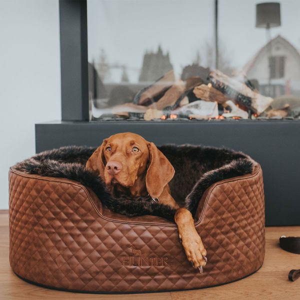 Hundesofa Gotland