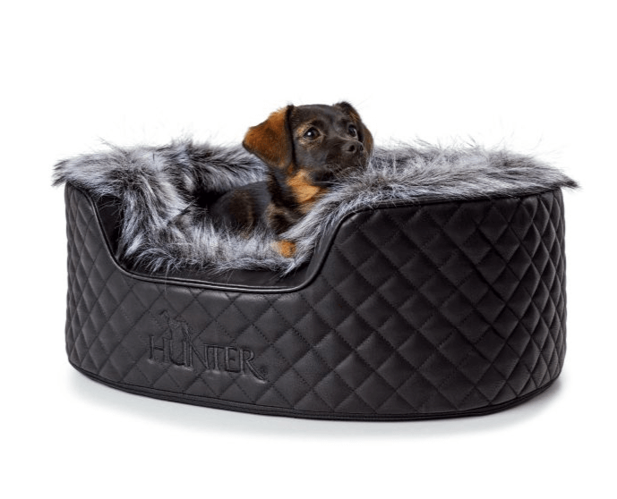 Hundesofa Gotland