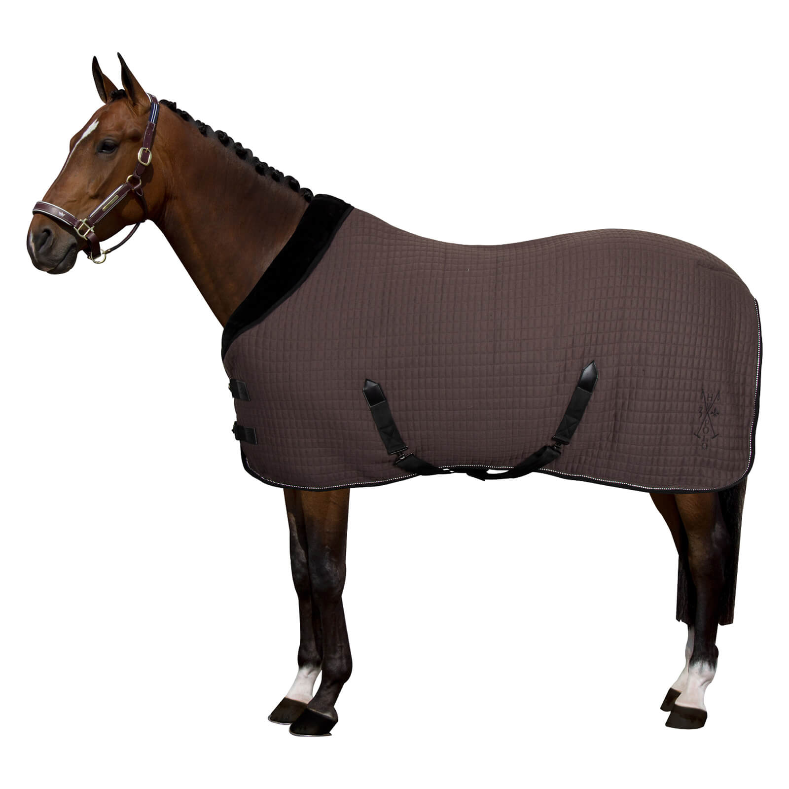 Abschwitzdecke HVPFranka HW 2022
