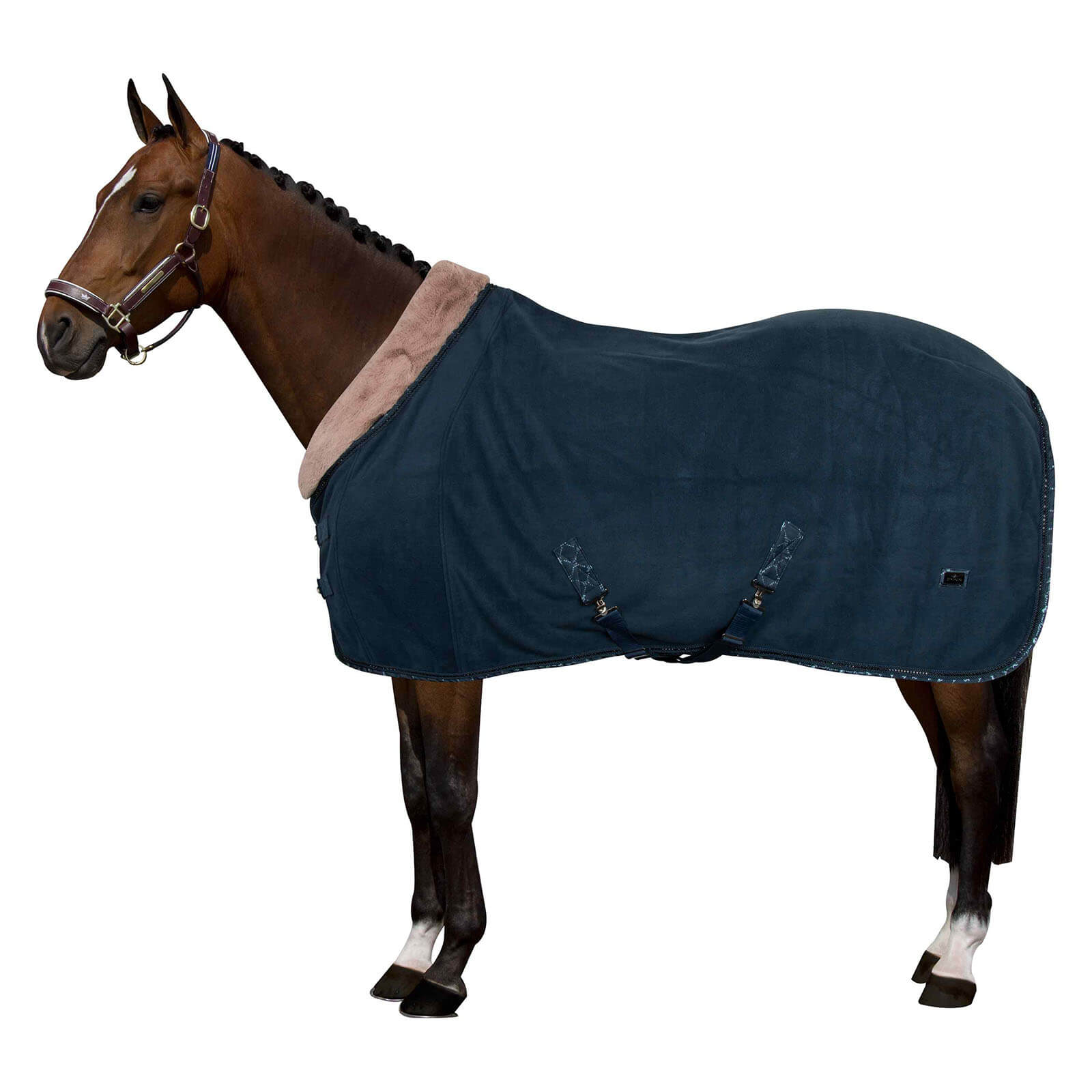 Abschwitzdecke HVPWelmoed Shine HW 2022 Fleecedecke