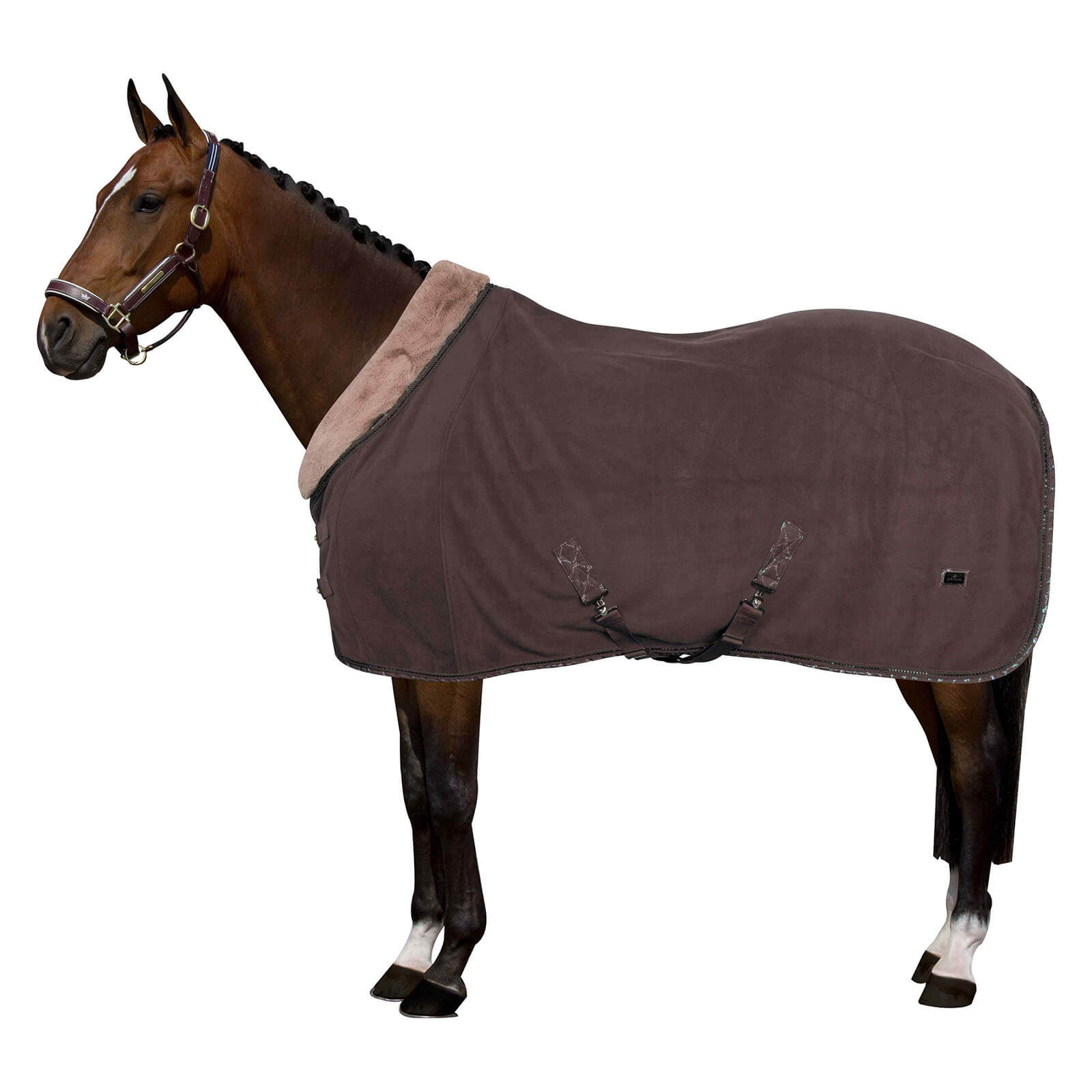Abschwitzdecke HVPWelmoed Shine HW 2022 Fleecedecke