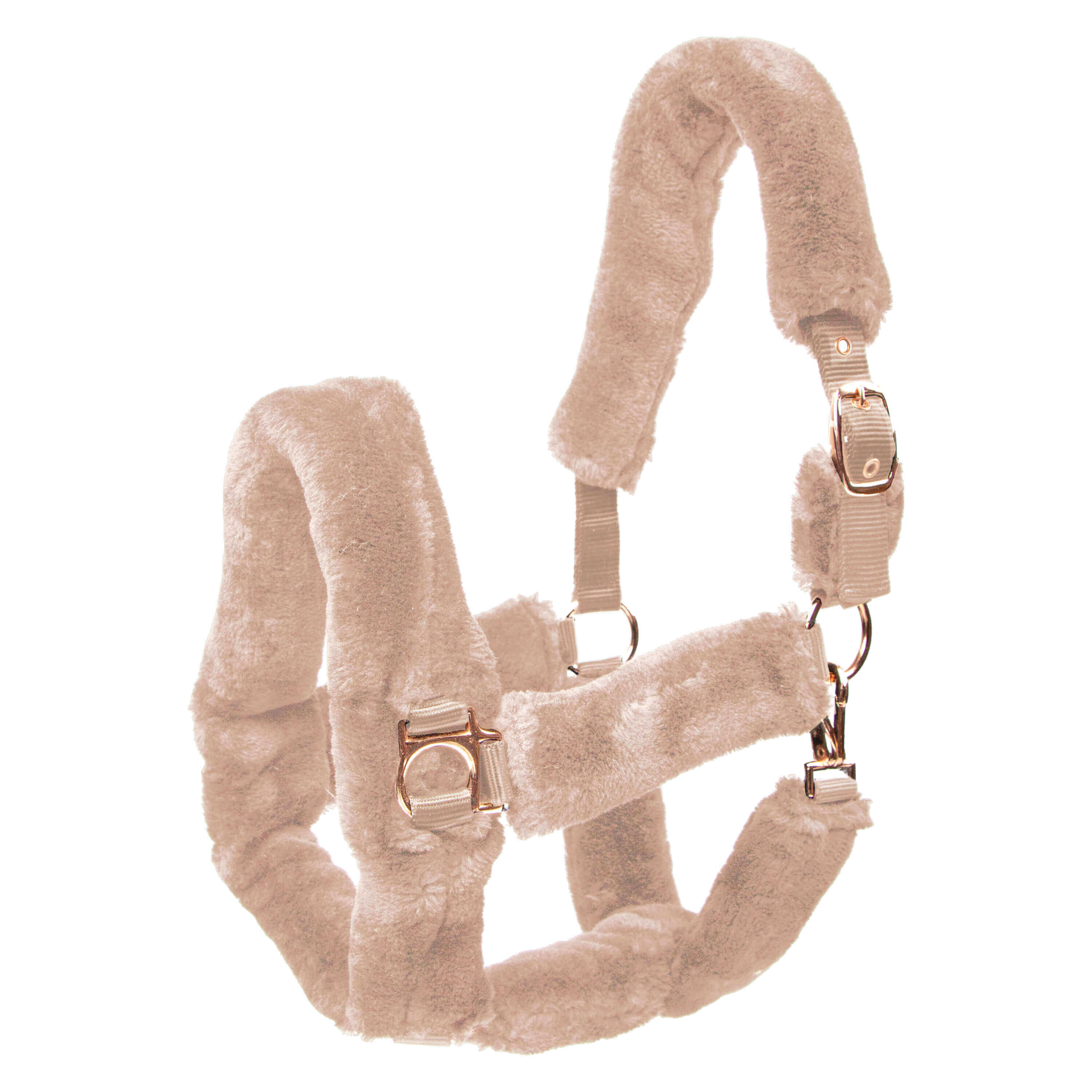 Halfter Fur IRHGo Star Classic Pferdehalfter Stallhalfter