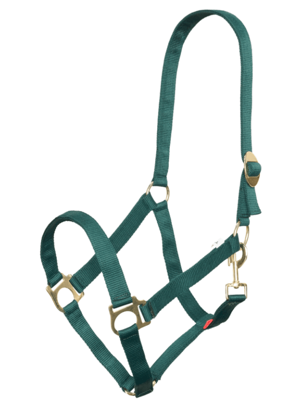 Halfter Nylon IRHEconomic Classic Stallhalfter