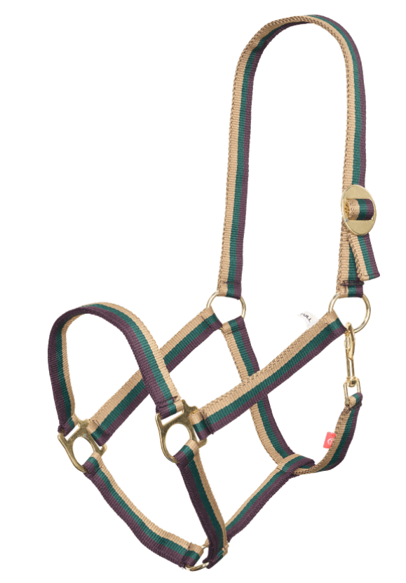 Halfter Nylon IRHEconomic Classic Stallhalfter