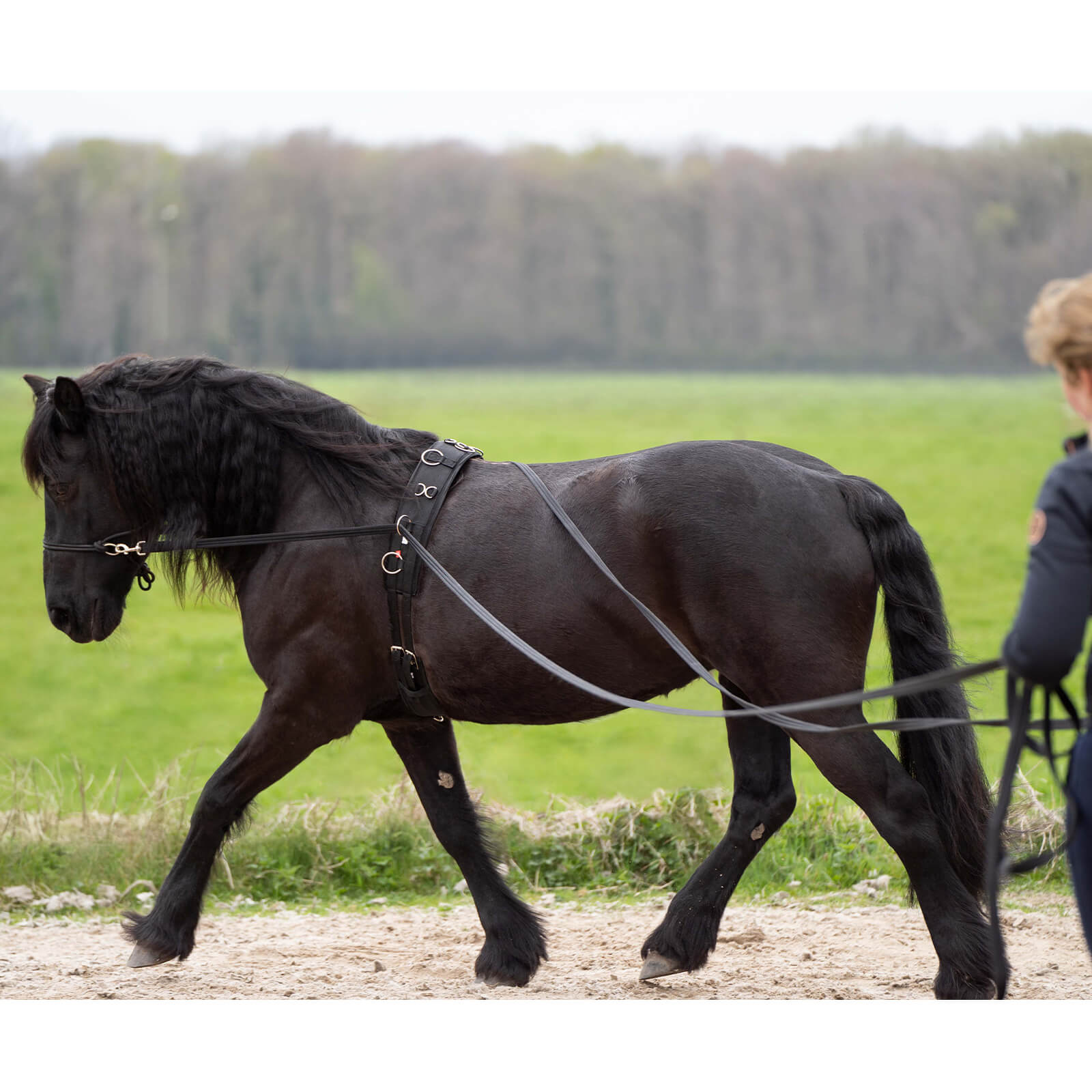 Long Reins IRHFree Ride Set Langzügel