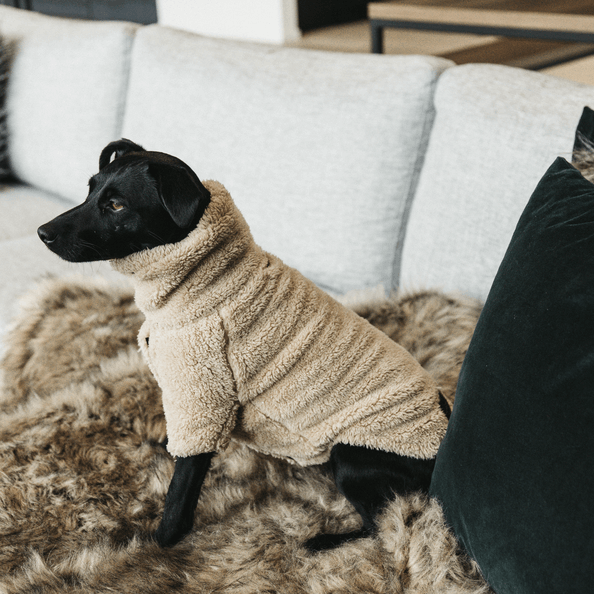 Hunde Pullover Teddy Fleece