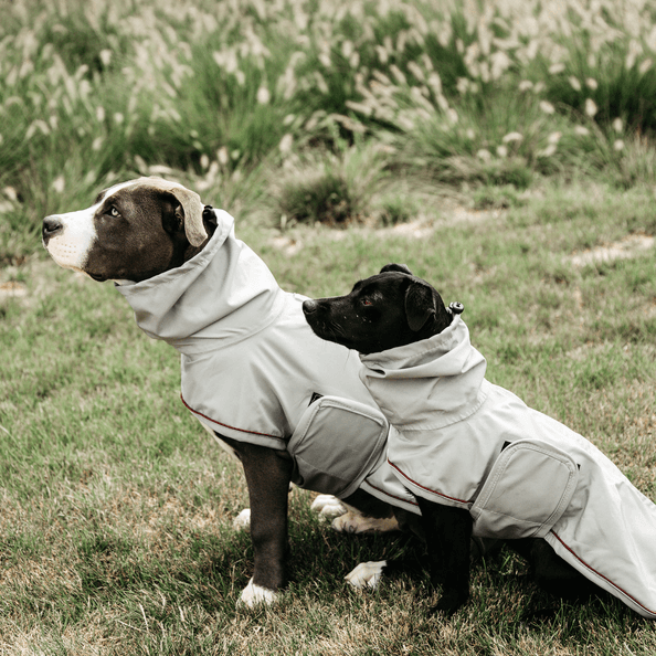 Hunde Regenmantel Hunderegenjacke