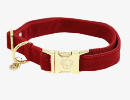 Hundehalsband Corduroy Halsband