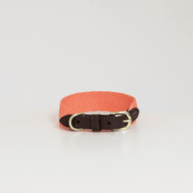 Neon Orange