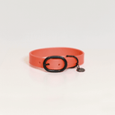 Neon Orange