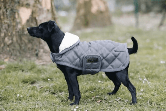 Hundemantel Original Hundejacke