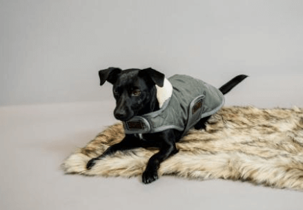 Hundemantel Original Hundejacke